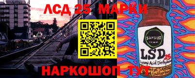 apvp Канаш