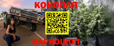 apvp Канаш